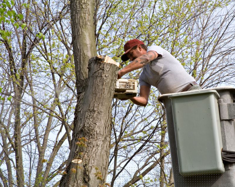 Tree Service