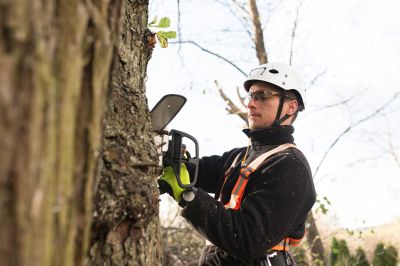 Professional Tree Trimming Equipment