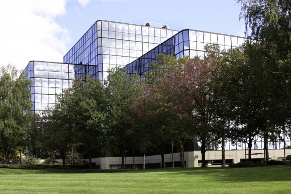 Commercial Tree Trimming in Eau Claire